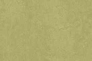 Линолеум Forbo Marmoleum Marbled Fresco 3265-326535 avocado фото  | FLOORDEALER